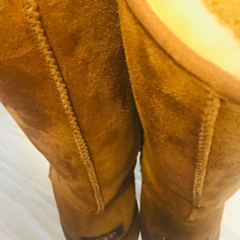 UGg - Picture 2 of 7